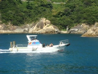 boat.jpg