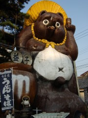 SANY0172.jpg