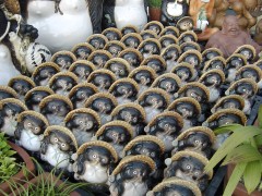 SANY0174.jpg