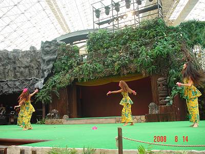 DSC04184-s.JPG
