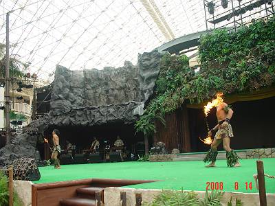 DSC04186-s.JPG