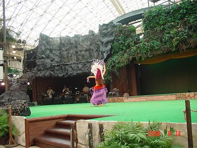 DSC04196-s.JPG